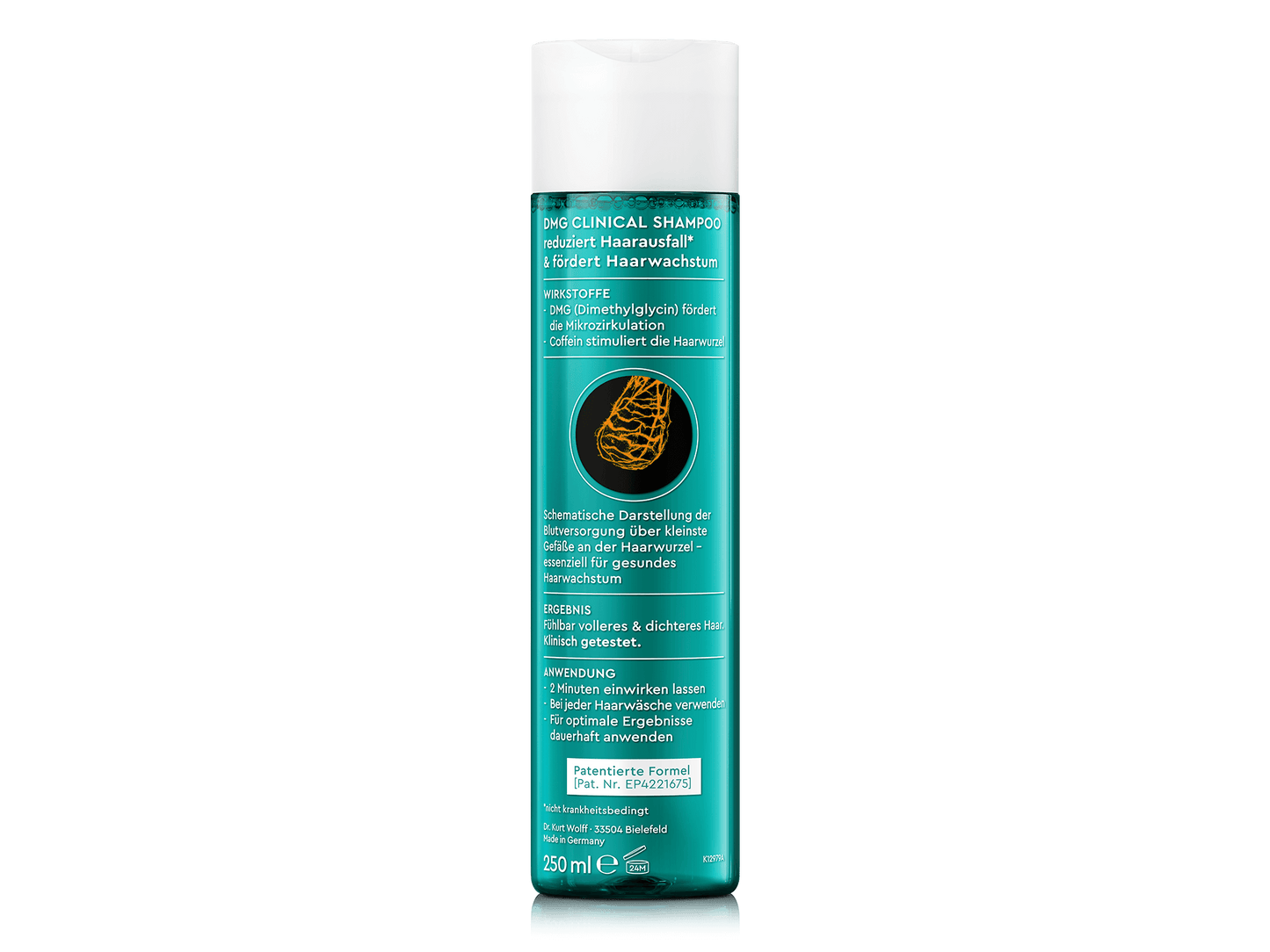 Rückseite Plantur DMG Clinical Shampoo. Reduziert nicht krankheitsbedingten Haarausfall und fördert Haarwachstum. DMG fördert die Mikrozirkulation und Coffein stimuliert die Haarwurzel.