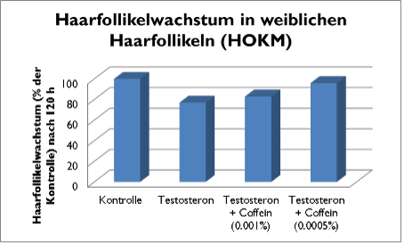 Haarfollikelwachstum in weiblichen Haarfollikeln, sinkt unter Testosteron; Kombination mit Koffein (0,01%/0,0005%) erhöht Wachstum nahe Kontrollniveau.